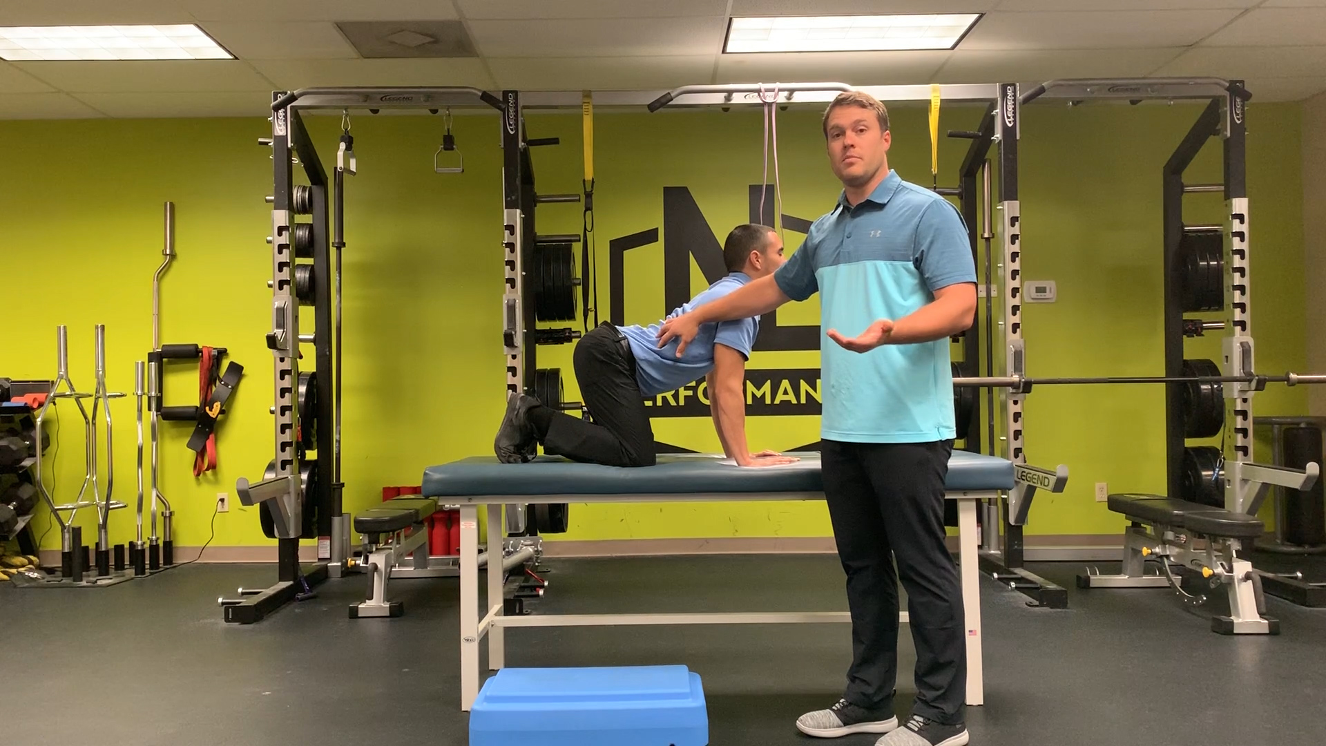 Cat Cows in the Morning | Austin Chiropractor | Next Level Performance